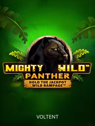 Mighty Wild Panther Slot